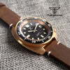 Tandorio CUSN8 Solid Bronze Turtle Watch TD239PT5000 NH35A 44mm 20bar diver Sapphire