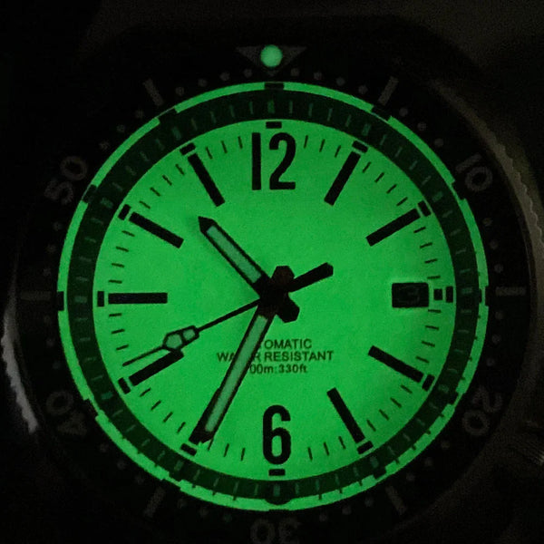 Tandorio 200m Turtle Diver Watch NH35A Fully Luminous Sapphire 20bar 44mm TD281