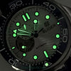NH39A 41mm Bliger Seamaster SkeletonSapphire Glass 3ATM TD266