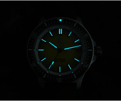 San Martin Diver SN0118G 40mm Original Design Fruit Series  NH35 Automatic 20Bar AR Sapphire BGW Luminous SN0118