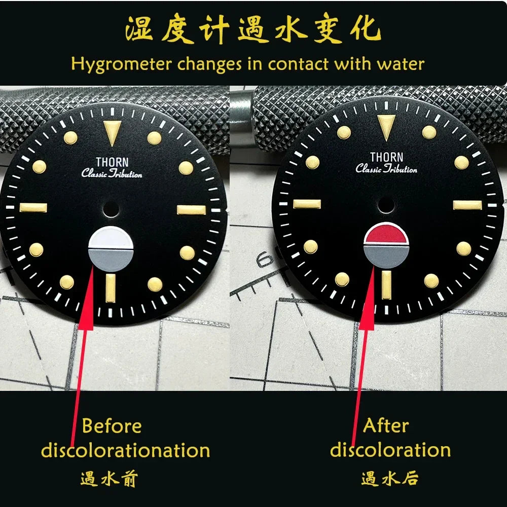 Bronze NH35 Movt 50 fathoms watch THORN SHY039 40mm EU Sapphire 20Bar