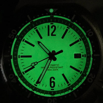 Tandorio 200m Turtle Diver Watch NH35A Fully Luminous Sapphire 20bar 44mm TD281