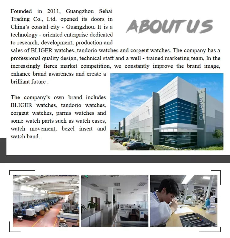 Tandorio Explorer Watch TD110S NH35A Movt 36MM 39mm 5ATM Sapphire Dress