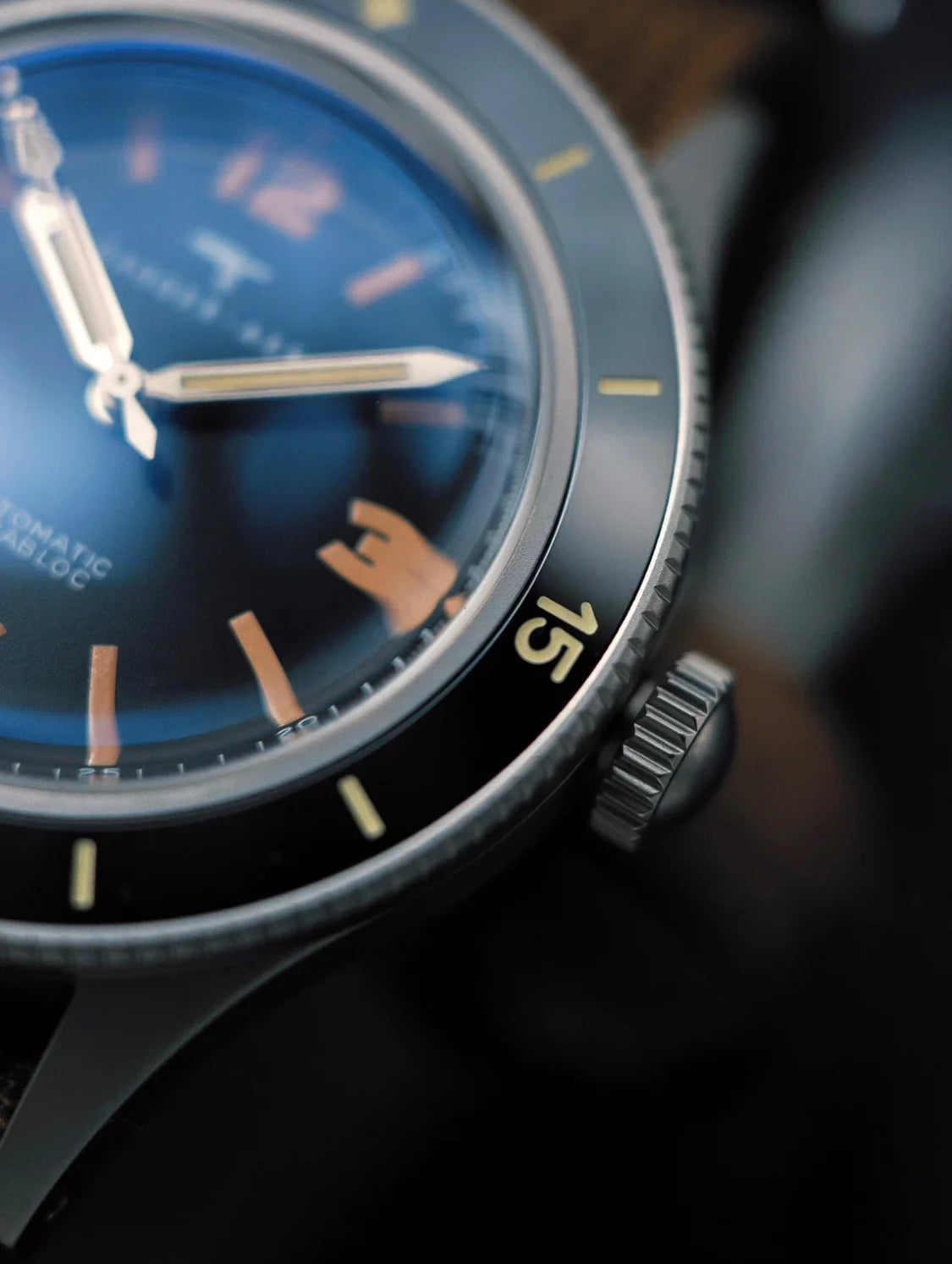 DAGGER-AXE 50 Fathoms Watch NH35 Movt  K9 Mineral Crystal TR900 C3 Luminous 20bar diver 40MM