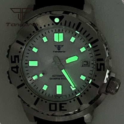 WristFull Monster Diver 42mm Customizable Watch WFM003 NH35 Automatic 20Bar Diver MOP Automatic Sapphire