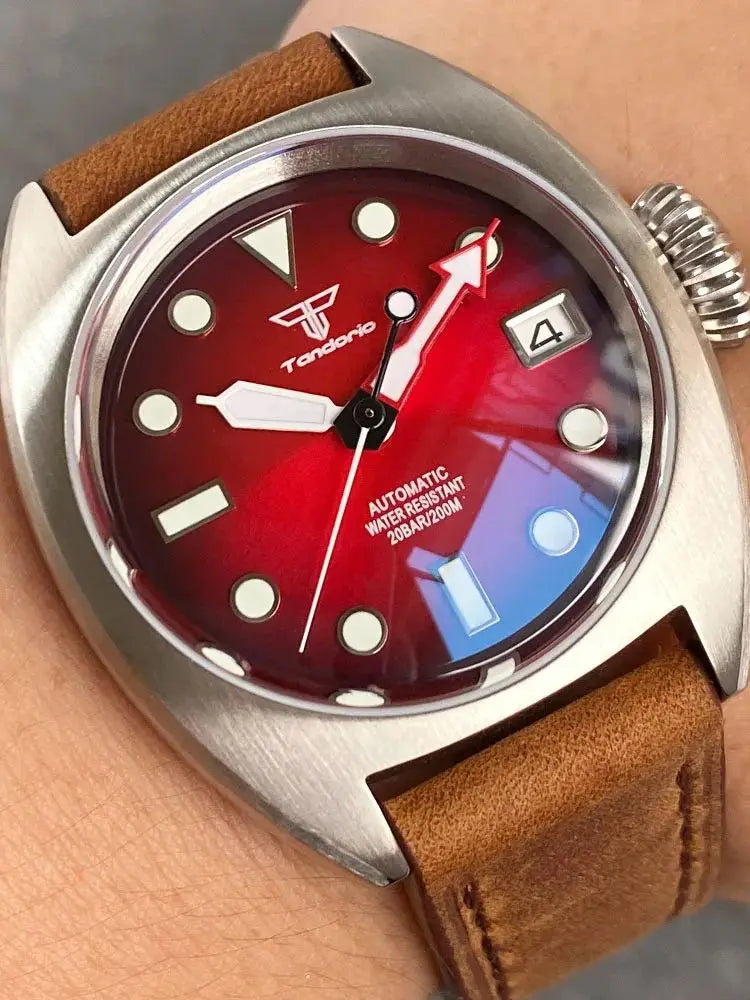 Tandorio Identity Crisis watch TD102s NH35 Domed AR Sapphire 36mm pilot watch