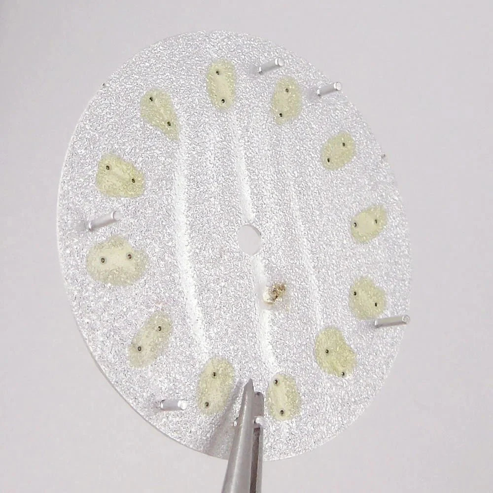 Double bar no date window Nologo 29mm Sand Dune Watch Dial Plate for NH35 NH36 ETA2824 PT5000 ST2130 Silver Hand no date Watch Parts for Diver Watch Mod - Tandorio Watches