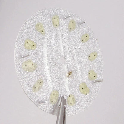 Double bar no date window Nologo 29mm Sand Dune Watch Dial Plate for NH35 NH36 ETA2824 PT5000 ST2130 Silver Hand no date Watch Parts for Diver Watch Mod - Tandorio Watches